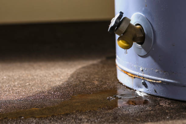 Best Water damage cleanup near me  in Honesdale, PA