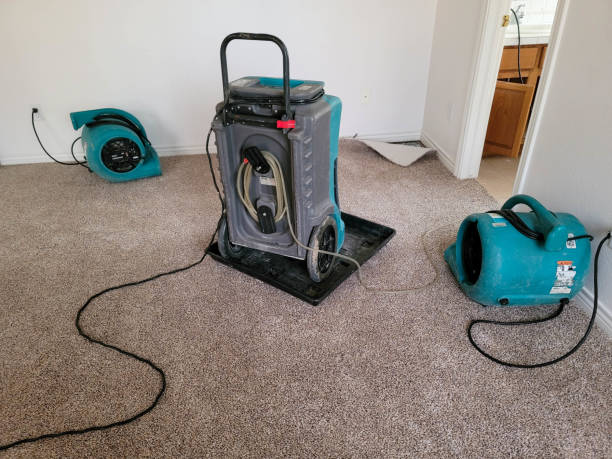 Best 24-hour water damage restoration  in Honesdale, PA