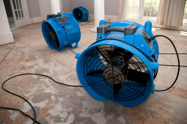 Best Flood damage cleanup  in Honesdale, PA