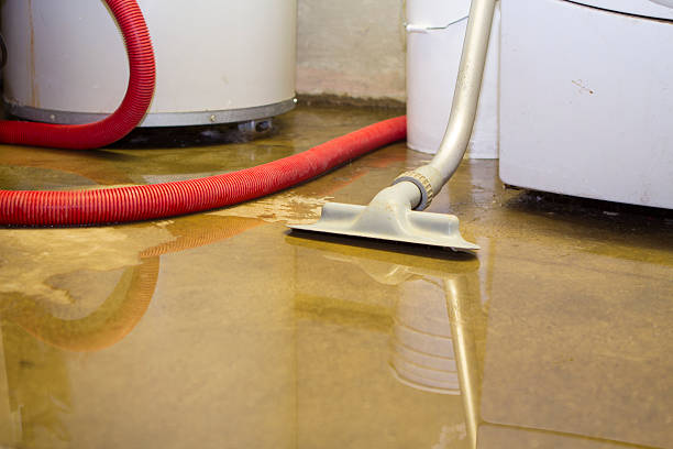 Best Flood restoration services  in Honesdale, PA