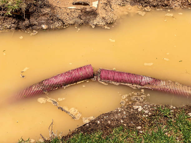 Best Water damage restoration services  in Honesdale, PA