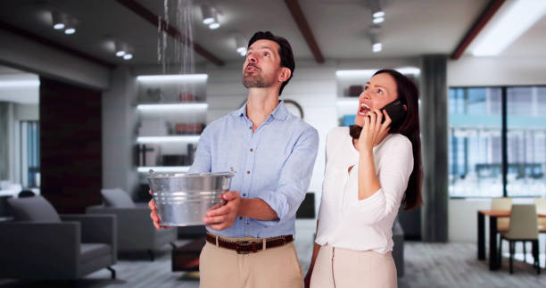 Best Ceiling water damage repair  in Honesdale, PA