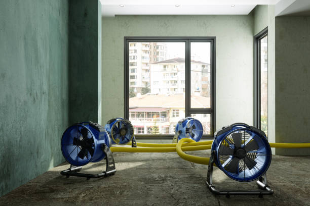 Best Emergency water damage restoration  in Honesdale, PA