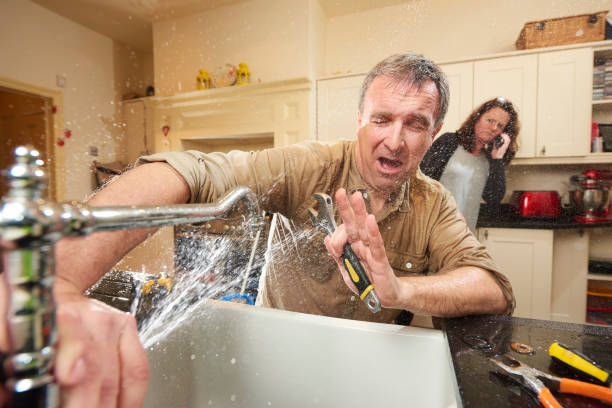 Best Professional water damage repair  in Honesdale, PA